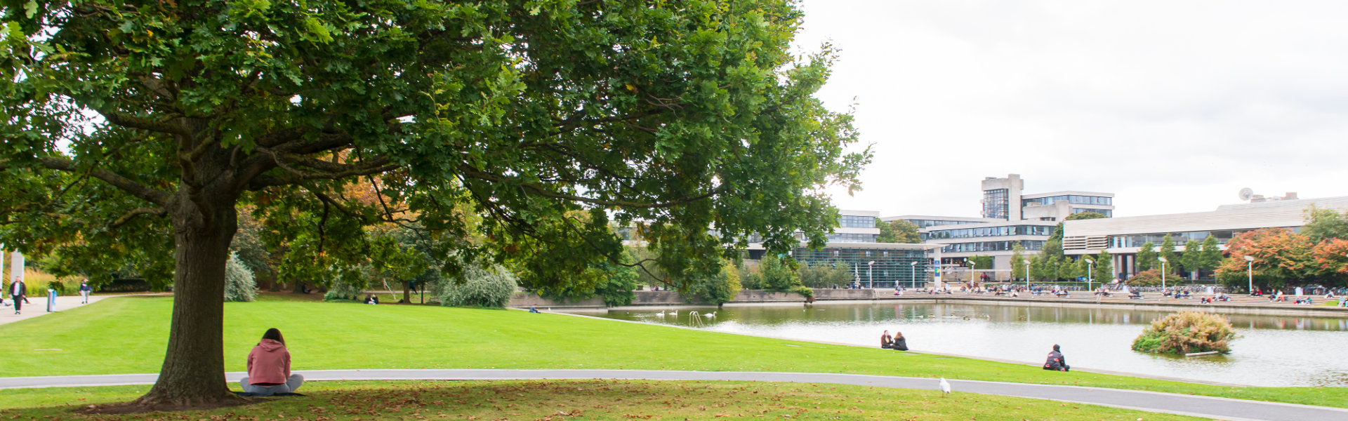 Newman Student under tree